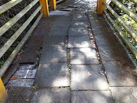 Puente-senda-mal-estado